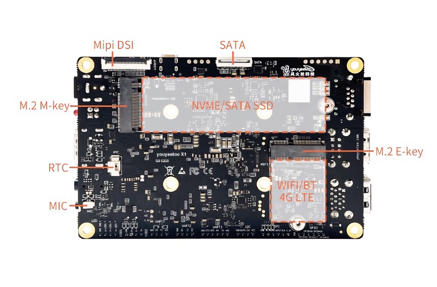 X1 back